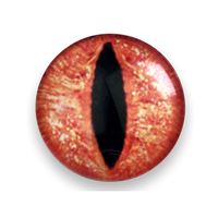 Cabochon 25 mm