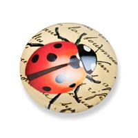 Cabochon 12 mm KAB00236