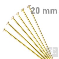 Nietstifte GOLD 20 mm 15 Stck.