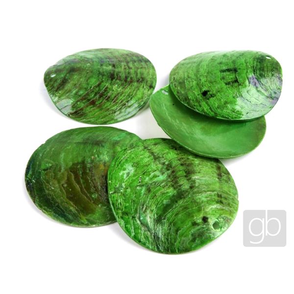 Muscheln gebohrt gef�rbt Gr�n