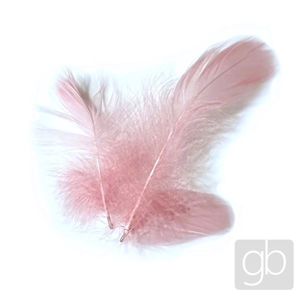 Federn dekorative Pink (5 - 15 cm)