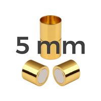 Magnetbefestigung GOLD Chirurgischer Stahl 5 mm
