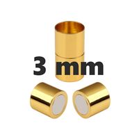 Magnetbefestigung GOLD Chirurgischer Stahl 3 mm